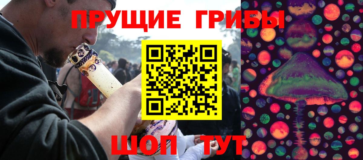 Королёв  Псилоцибиновые грибы Psilocybine cubensis  Галлюциногенные грибы мухоморы  Вход с VPN 